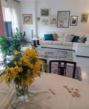 B&B ANTONIETTA Vico Equense